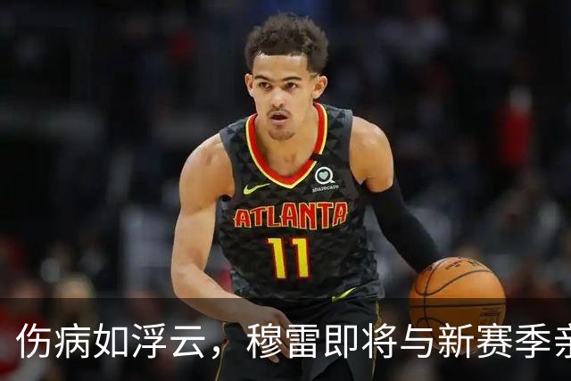 伤病如浮云，穆雷即将与新赛季亲密接触！